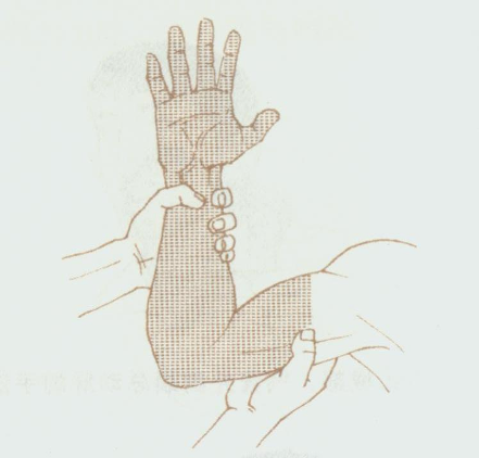 图片5.png