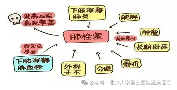 图片12.jpg