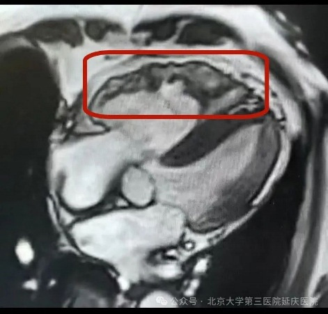 图片14.jpg