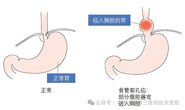 图片14.jpg
