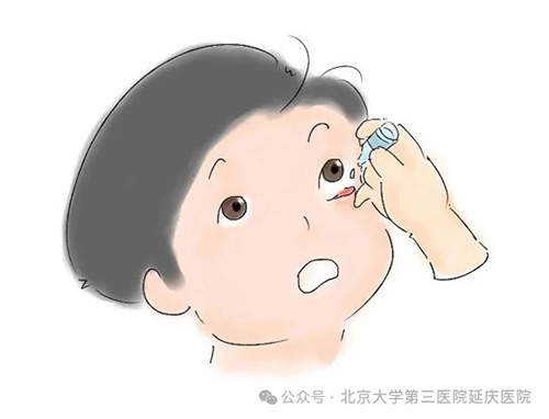 图片8.jpg